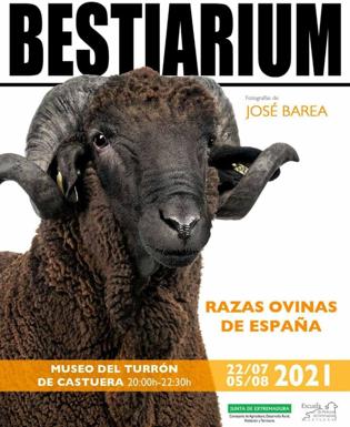 La exposición fotográfica 'Bestiarium. Biodiversidad Rural' estará en el Museo de Turrón del 22 al 31 de julio