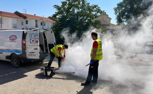 Nueva campaña de desratización, desinsectación y desinfección en la red de alcantarillado de la localidad