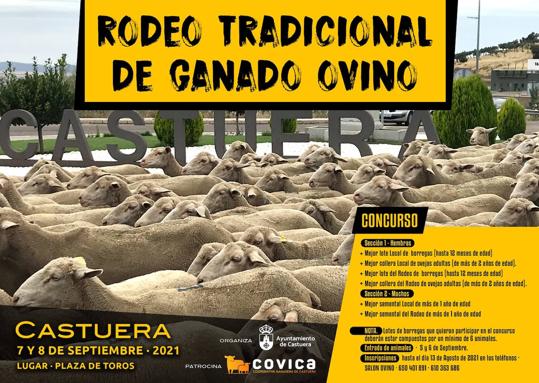 El tradicional rodeo de ganado ovino se celebrará los días 7 y 8 de septiembre