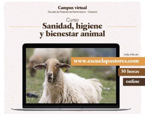 Abierto el plazo de inscripciones para el quinto curso del Campus Virtual de la Escuela de Pastores