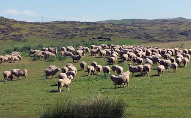 Abierto el plazo de inscripciones para el sexto y último curso del Campus Virtual de la Escuela de Pastores