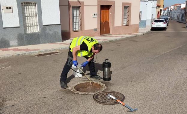 Nueva campaña de desratización, desinsectación y desinfección en la red de alcantarillado de la localidad