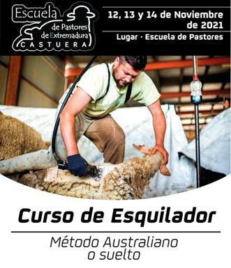 La Escuela de Pastores organiza un curso de 'Esquilador'