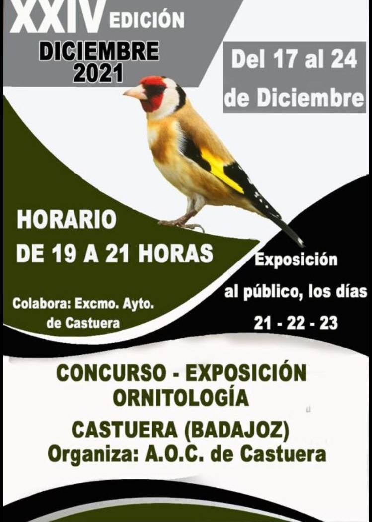Castuera acogerá del 17 al 23 de diciembre el XXIV Concurso Exposición de Ornitología