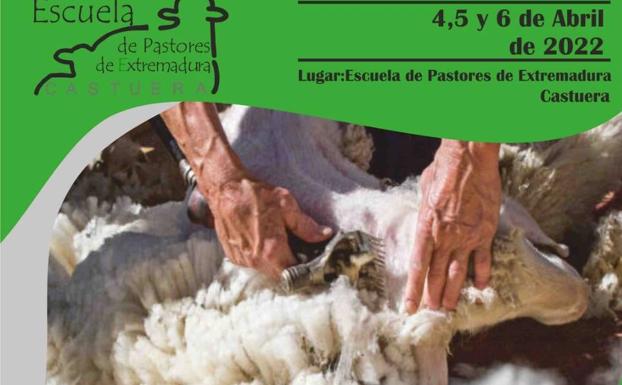 La Escuela de Pastores organiza un curso de 'Esquilador'