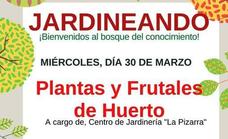 La Universidad Popular organiza una nueva sesión del taller 'Jardineando' para el próximo 30 de marzo