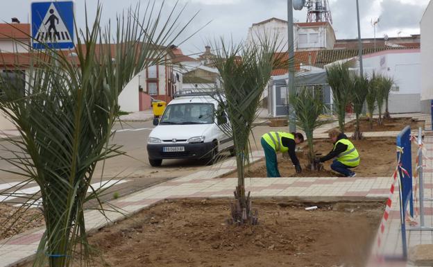 El Ayuntamiento acomete una nueva campaña de plantación de árboles y arbustos en calles, parques y jardines