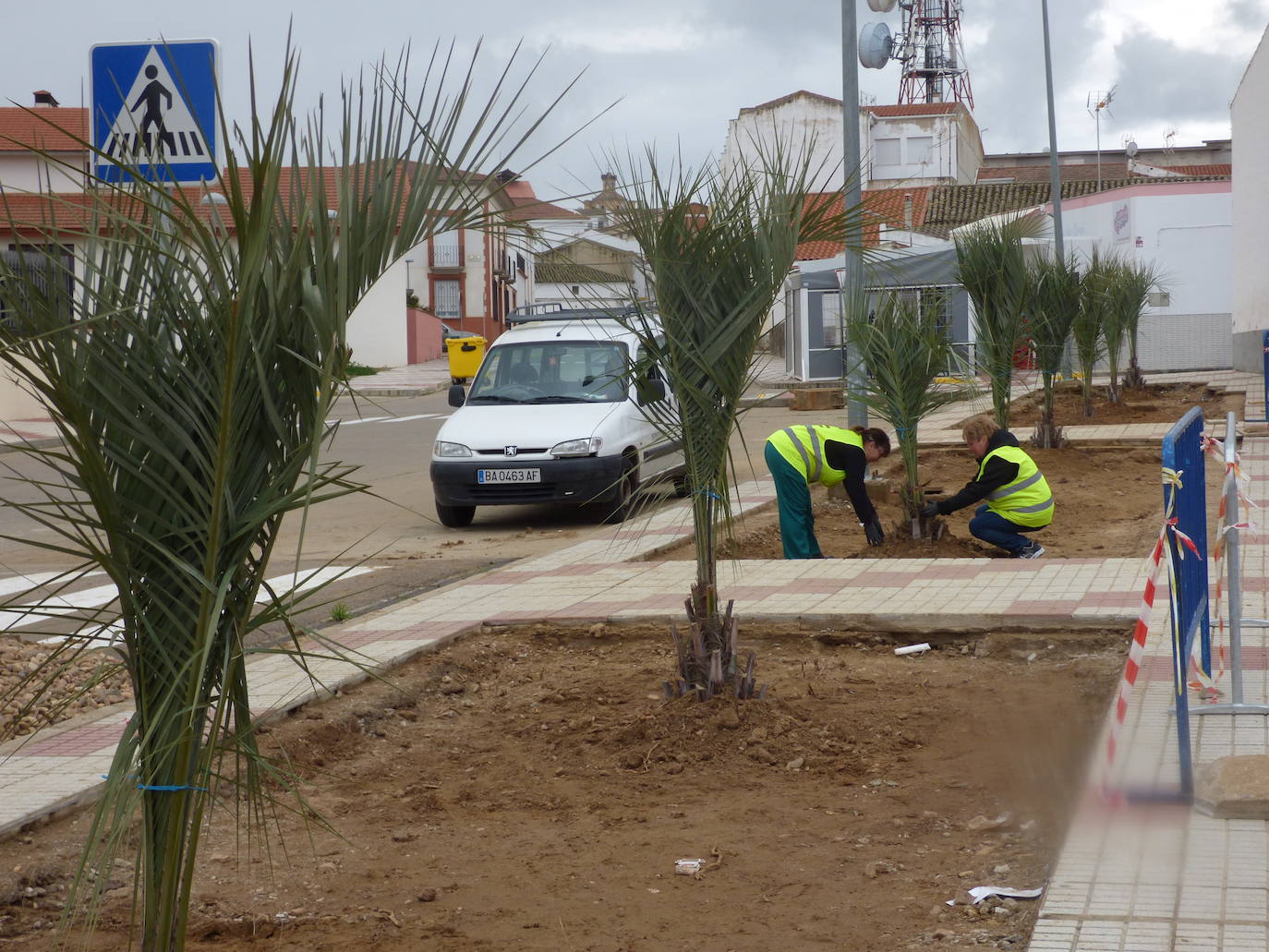 El Ayuntamiento acomete una nueva campaña de plantación de árboles y arbustos en calles, parques y jardines
