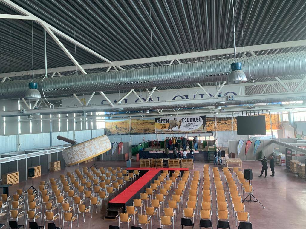 El Salón Ovino acoge hoy la celebración del XIII Campeonato de España de Esquileo de Merinas