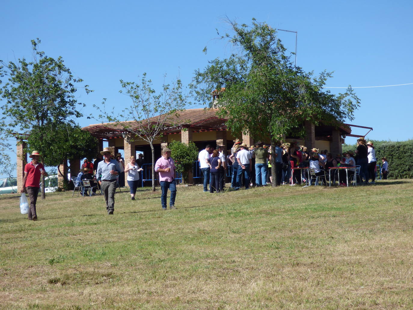 El Ayuntamiento ofrece a las peñas y grupos de amigos 30 carpas con punto de luz para la romería de San Isidro