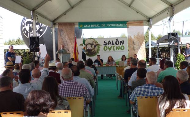La subasta de Merino del Salón Ovino registra un remate final de 25.860 euros