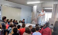 Alumnos y alumnas del CEIP Joaquín Tena Artigas visitan la quesería de la Cooperativa Ganadera (Covica)