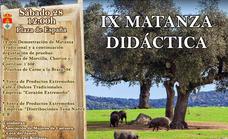 El sábado 28 de enero se celebrará la IX edición de la «Matanza Didáctica»