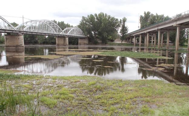 La Confederación Hidrográfica del Tajo no deja al Ayuntamiento que limpie el río a su paso por la ciudad