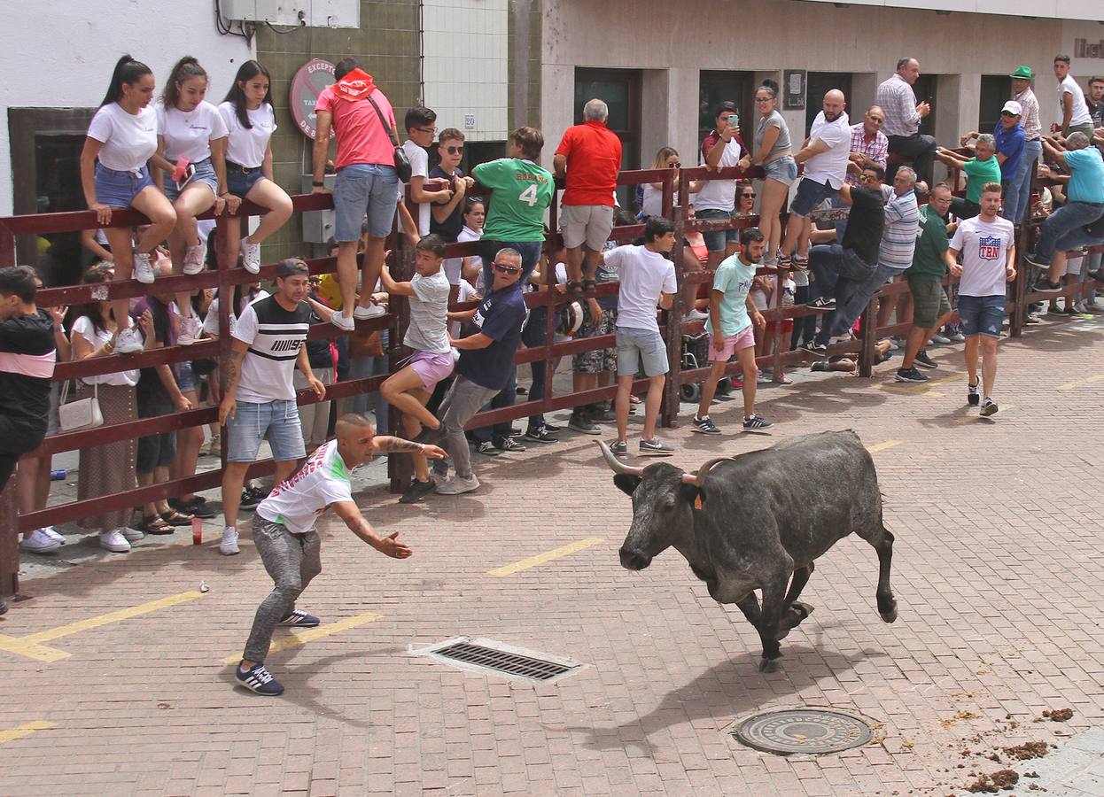 Una gran vaca de Victorino Martín abrió los encierros de las fiestas de San Juan