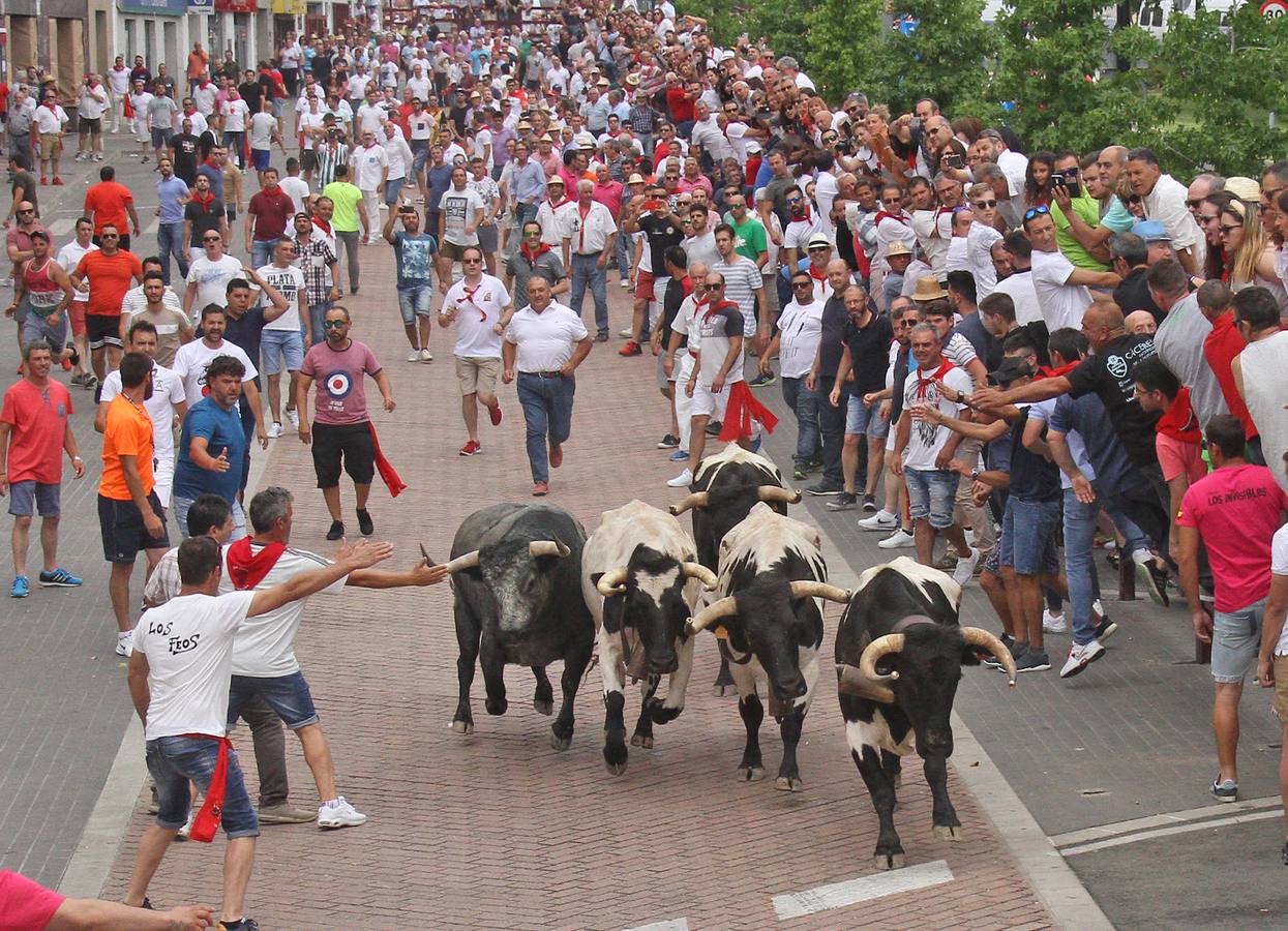 Un toro de ensueño en la tarde de San Juan