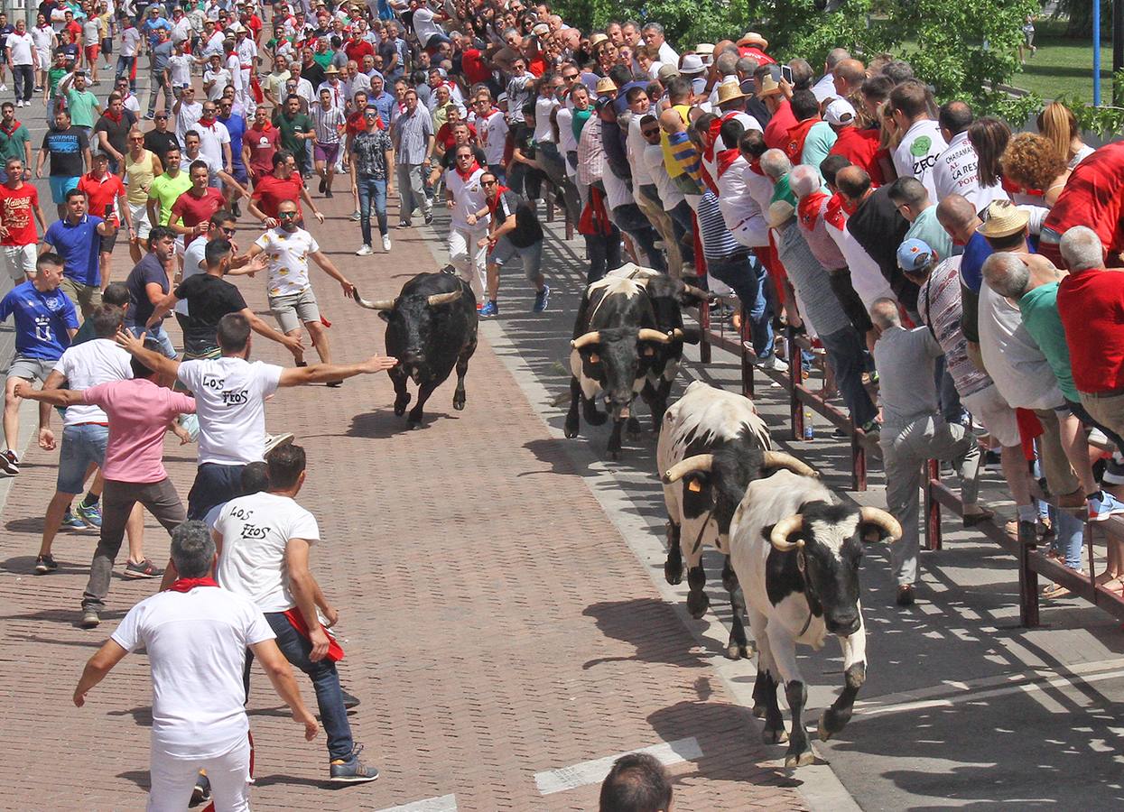 Mejicano de la ganadería Peñajara, primer toro de la Junta de Defensa