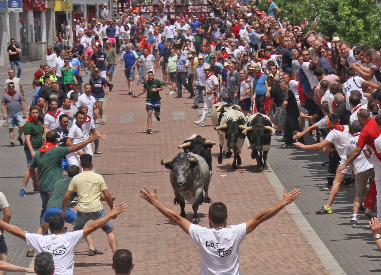 Encierro del toro de la Juventud Cauriense