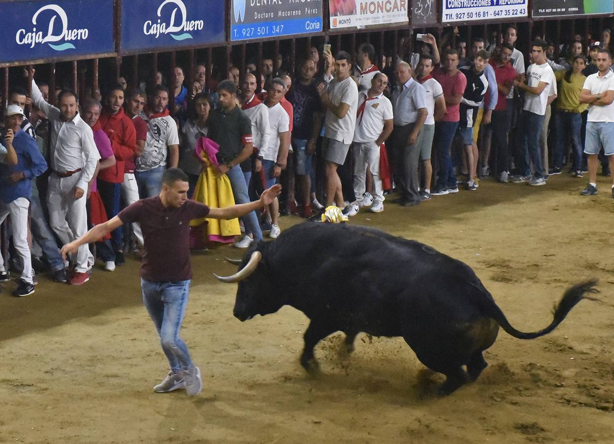 Un toro serio de Cuadri en la madrugada del 28