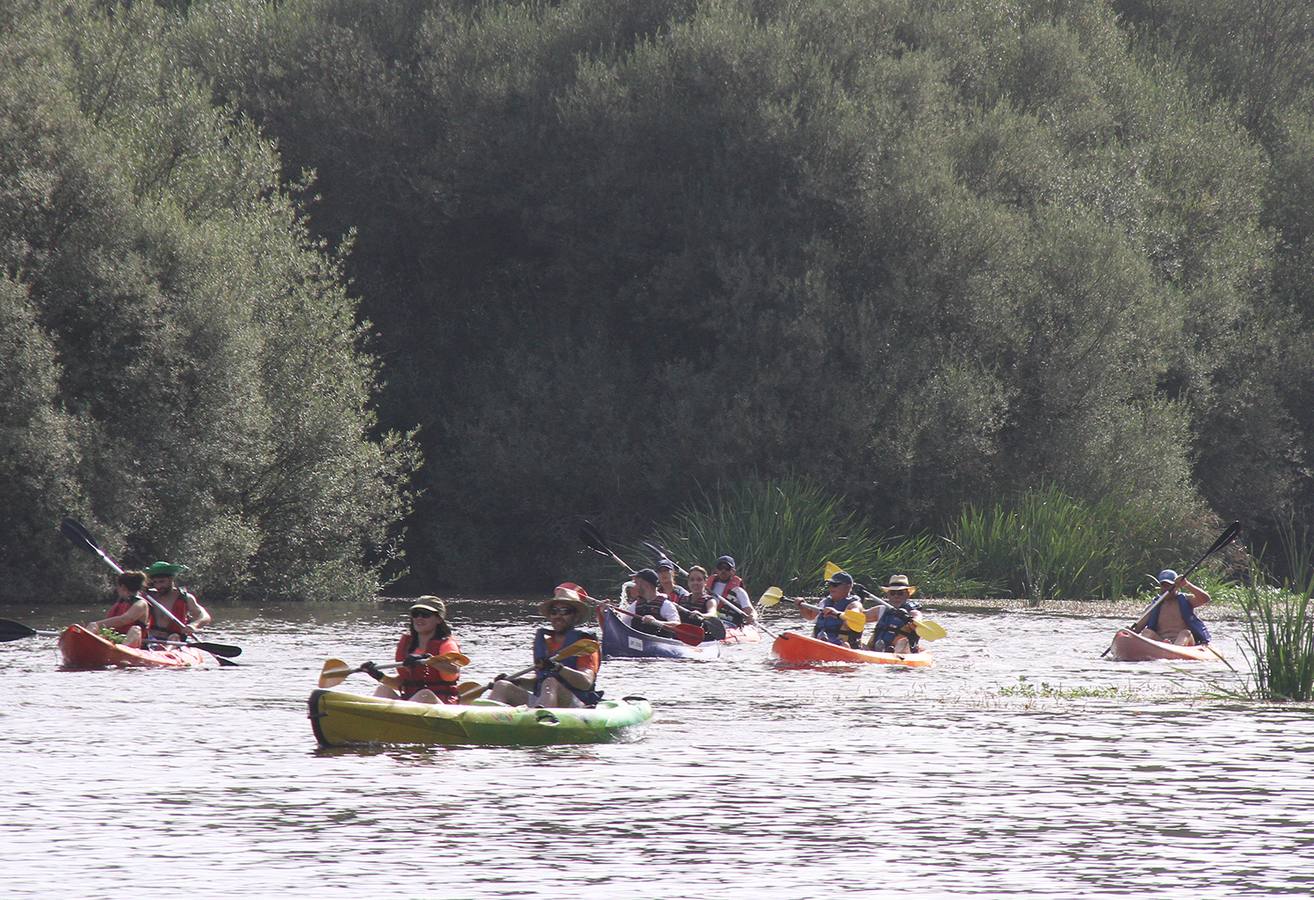 Descenso diario en canoa del Valle del Alagón
