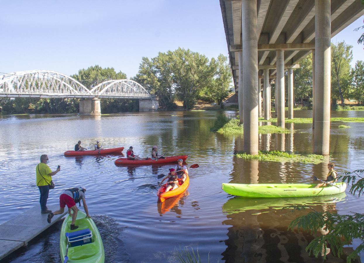 Des-Ala promociona el deporte acuático en canoas con descensos diarios en el río Alagón