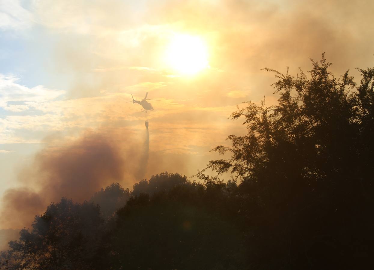 Se produjo un incendio en la zona desde la residencia San Nicolás de Bari al parque de Cadenetas