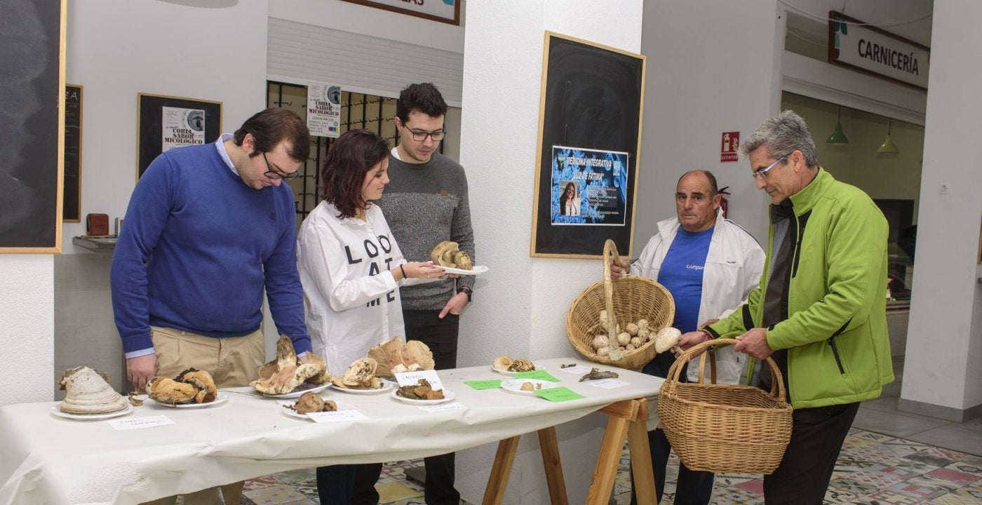 La localidad acogerá en noviembre la XIII Coria, Sabor Micológico