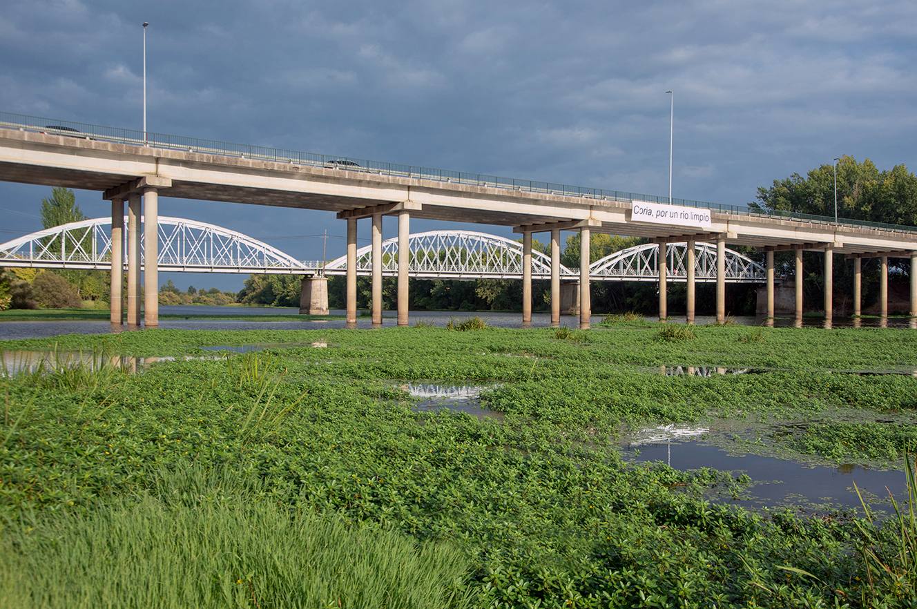 Presentada una enmienda para la adecuación del río Alagón a su paso por Coria