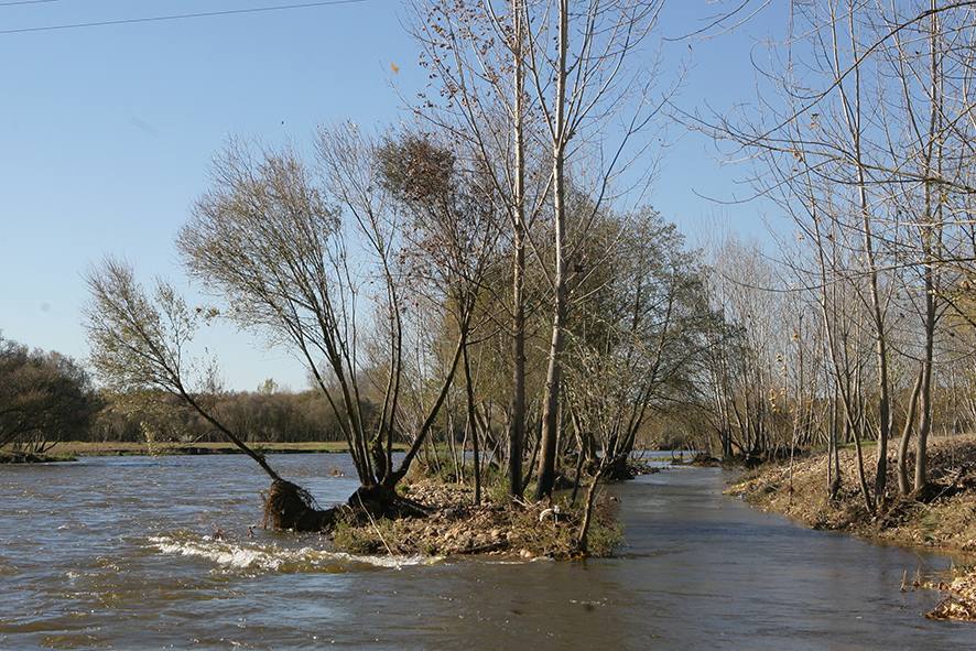 El alcalde insta al presidente de la Junta a que defienda el proyecto de recuperación del río Alagón a su paso por Coria