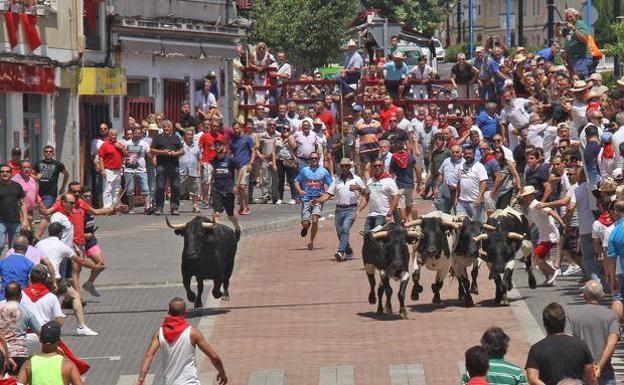 Se abre el plazo de inscripción de los jinetes para el traslado de bueyes a caballos