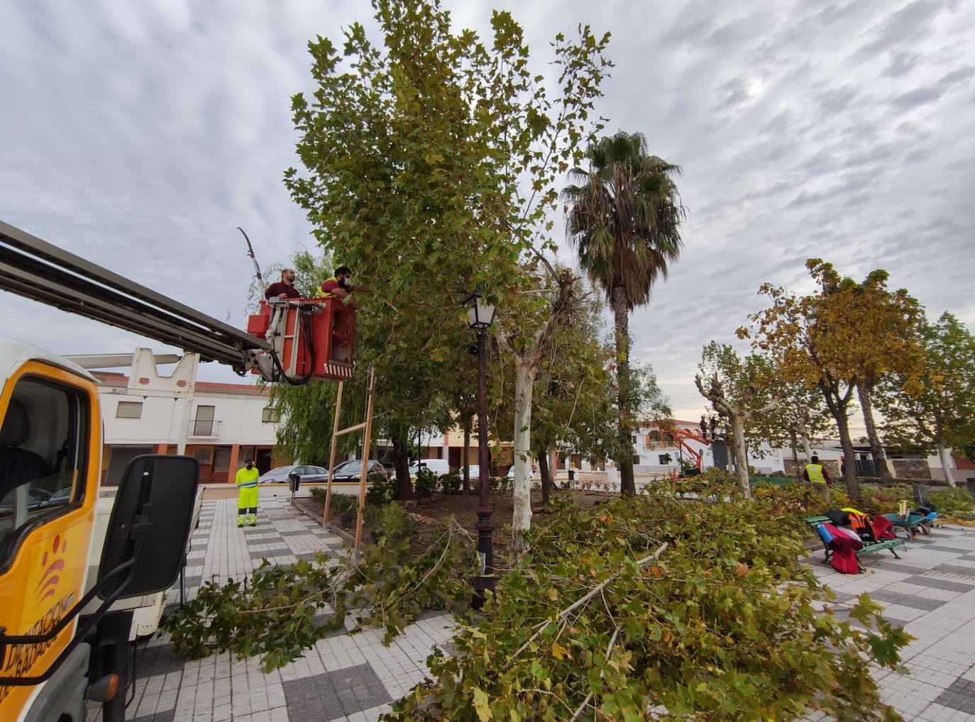 Vivares mejora sus zonas verdes y jardines