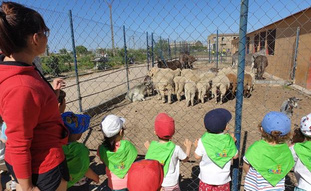 Minerva ofrece actividades para la Semana Santa
