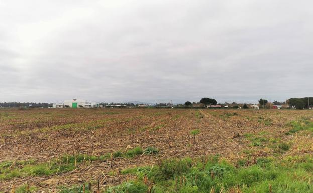 El nuevo polígono comenzará a urbanizarse en 2023