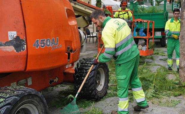 El Pleno inicia los trámites para la escisión de Agrimusa