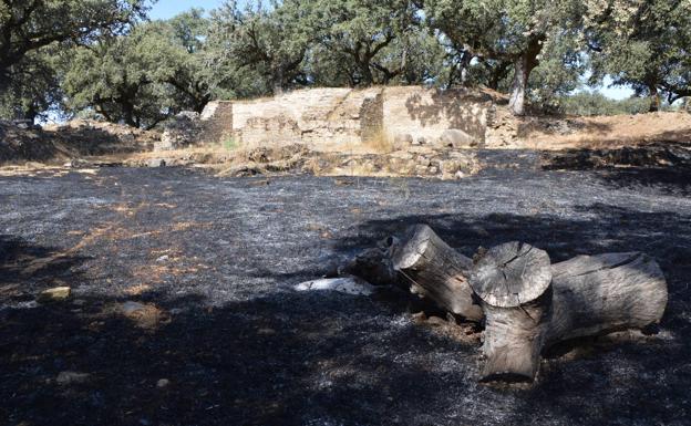 La Junta de Extremadura considera que el fuego no ha afectado gravemente a Nertóbriga
