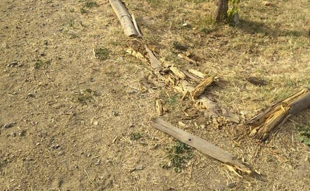 Actos vandálicos en el parque de Santa Ana