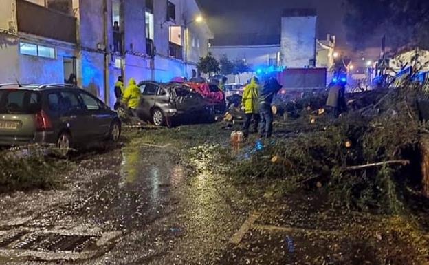 Una persona resulta herida tras la caída de un árbol en la barriada Santa Ana