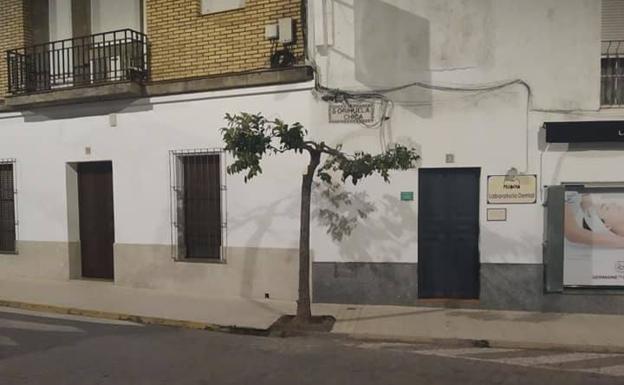 El PSOE solicitará información sobre la poda de los naranjos en Fregenal