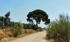 La Junta de Extremadura asume la reforma del camino entre Fregenal y Valencia del Ventoso