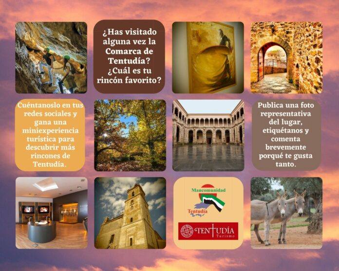 Concurso fotográfico de la comarca