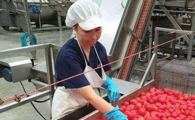 Tentudía contará con 1.200.000 € para inversiones productivas en el programa Leader