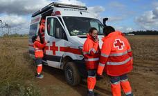 Cruz Roja Tentudía-Campiña Sur atiende a más de 500 personas en situación de vulnerabilidad en 2022