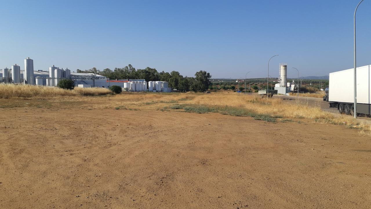 Se anuncia subasta para la venta de 9 parcelas industriales