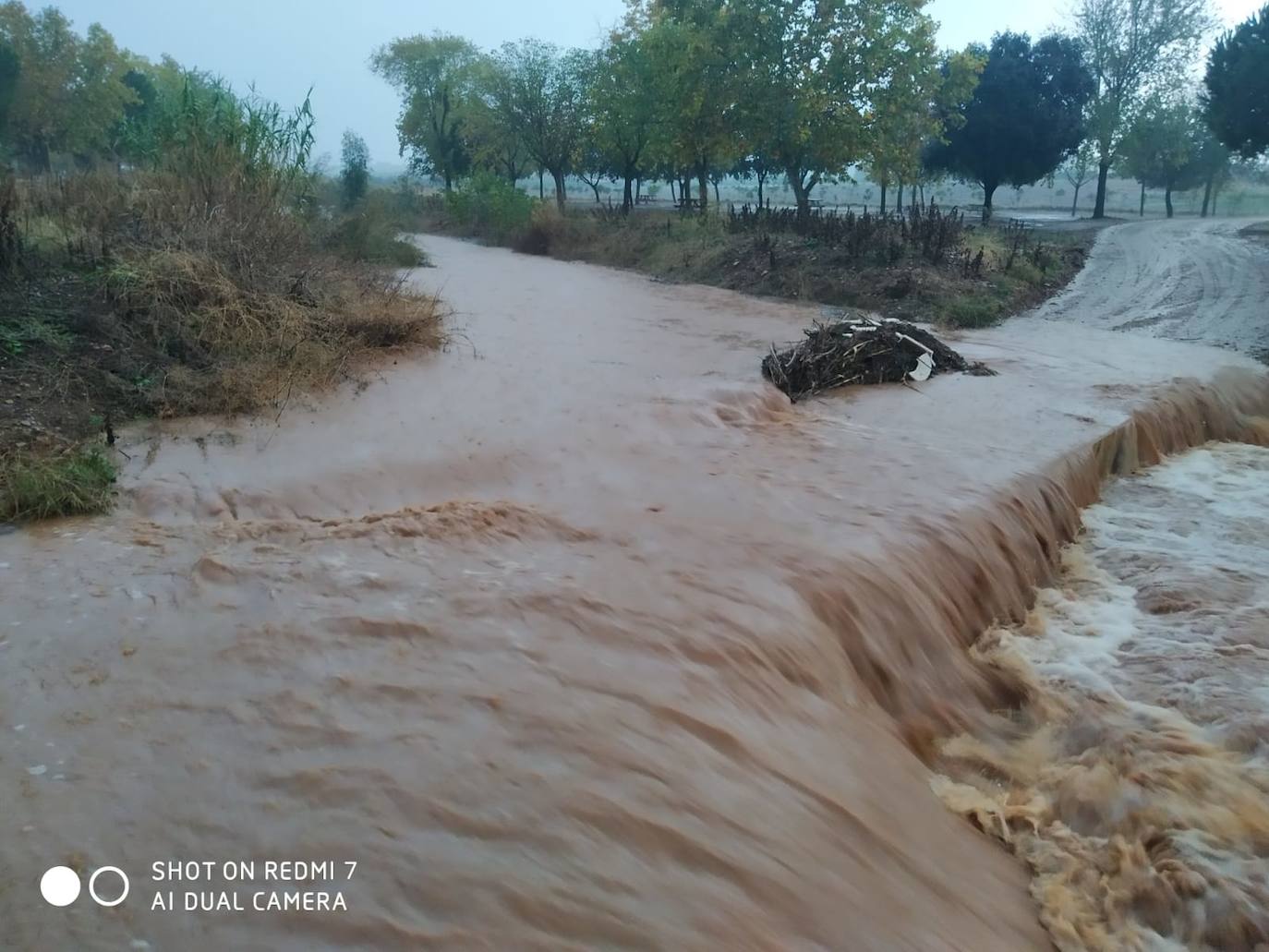 21 litros de agua por metro cuadrado cayeron ayer en Guareña en menos de una hora
