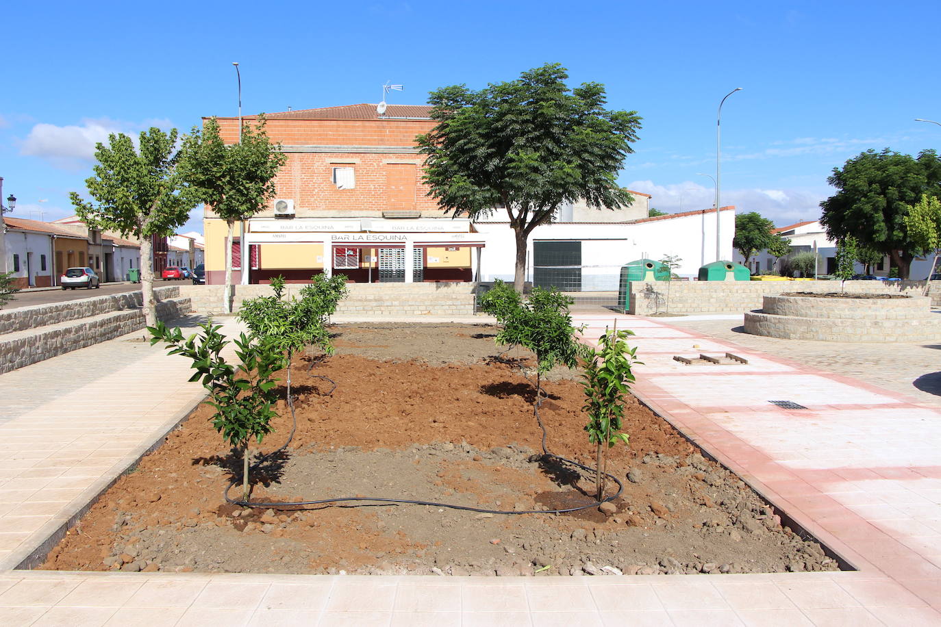 El Ayuntamiento coloca árboles en el nuevo parque de la Avenida de la Constitución