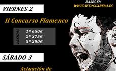 El 2 y 3 de septiembre II Festival Flamenco