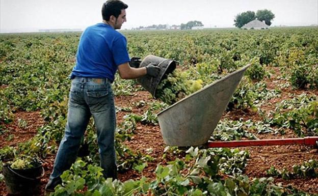 La cámara de comercio sigue ofreciendo formación