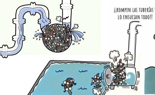 Promedio y AEOPAS lanzan un cuento sobre «toallitas zombis» para concienciar de los problemas de estos residuos