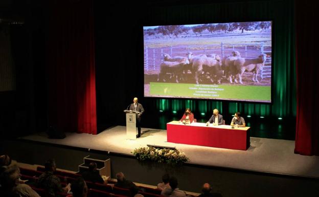 La subasta de ganado merino de la XI Feria Ganadera y Agroturística de la Siberia un éxito