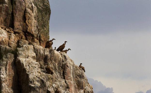 La Reserva de la Biosfera de la Siberia presenta hoy en Madrid su calendario de otoño